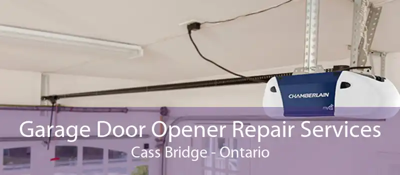 Garage Door Opener Repair Services Cass Bridge - Ontario