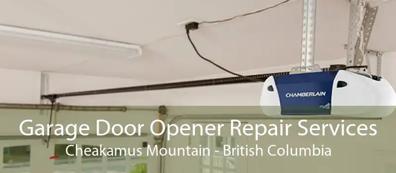 Garage Door Opener Repair Services Cheakamus Mountain - British Columbia