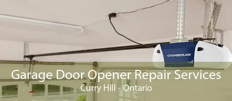 Garage Door Opener Repair Services Curry Hill - Ontario