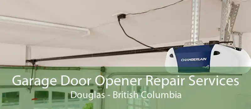 Garage Door Opener Repair Services Douglas - British Columbia