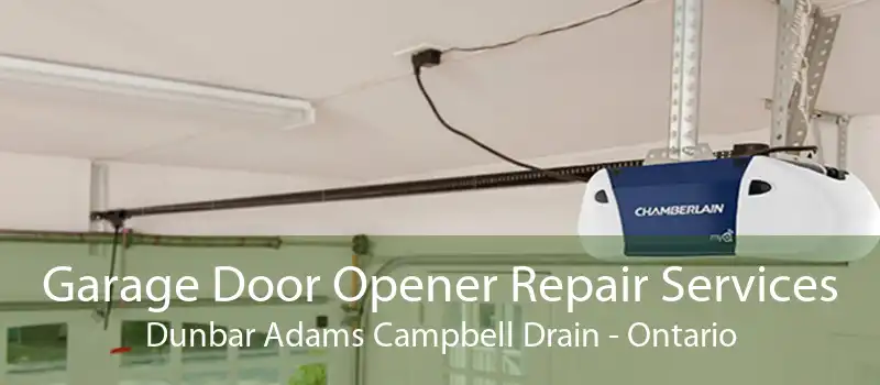 Garage Door Opener Repair Services Dunbar Adams Campbell Drain - Ontario