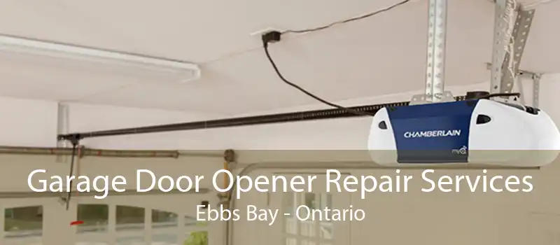 Garage Door Opener Repair Services Ebbs Bay - Ontario