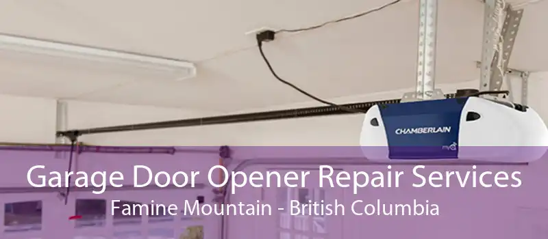 Garage Door Opener Repair Services Famine Mountain - British Columbia