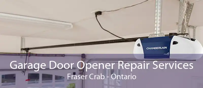 Garage Door Opener Repair Services Fraser Crab - Ontario