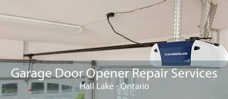 Garage Door Opener Repair Services Hall Lake - Ontario