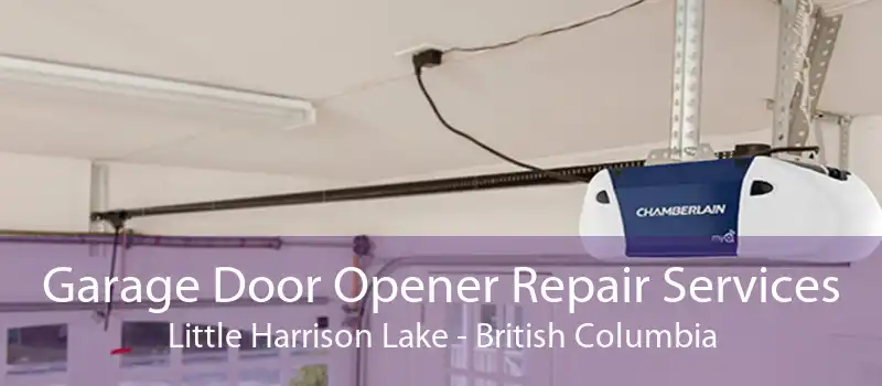 Garage Door Opener Repair Services Little Harrison Lake - British Columbia