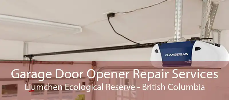 Garage Door Opener Repair Services Liumchen Ecological Reserve - British Columbia