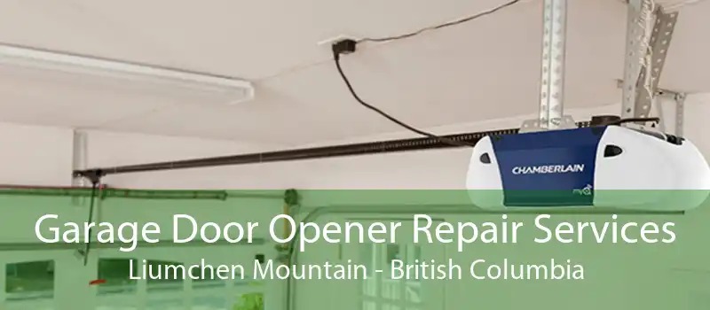 Garage Door Opener Repair Services Liumchen Mountain - British Columbia