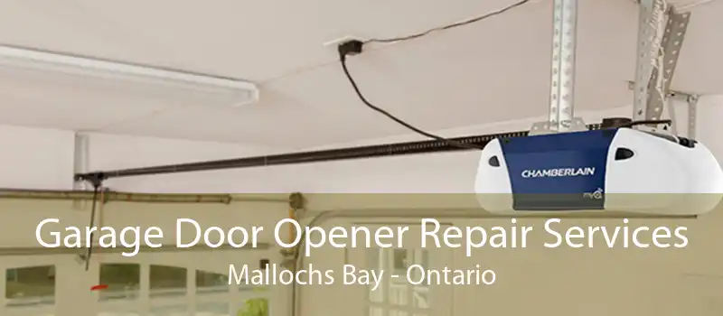 Garage Door Opener Repair Services Mallochs Bay - Ontario