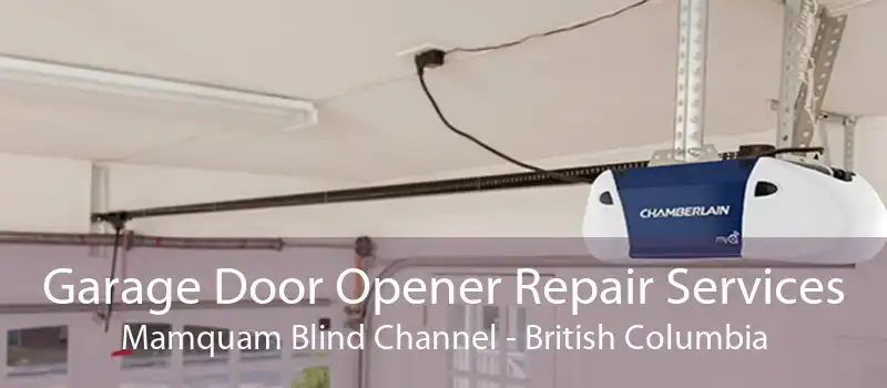 Garage Door Opener Repair Services Mamquam Blind Channel - British Columbia