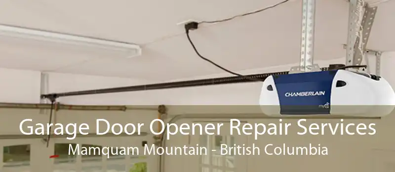 Garage Door Opener Repair Services Mamquam Mountain - British Columbia