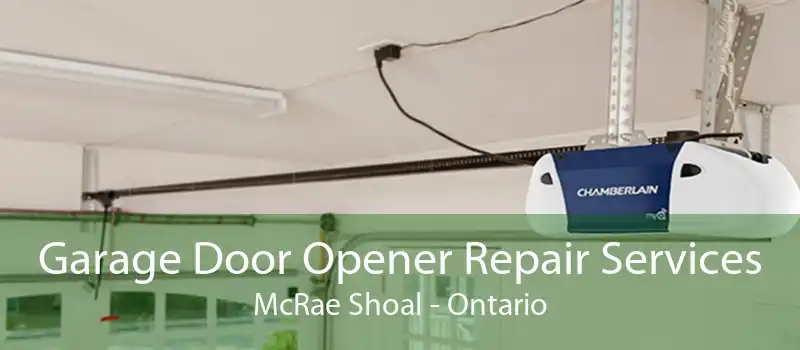 Garage Door Opener Repair Services McRae Shoal - Ontario