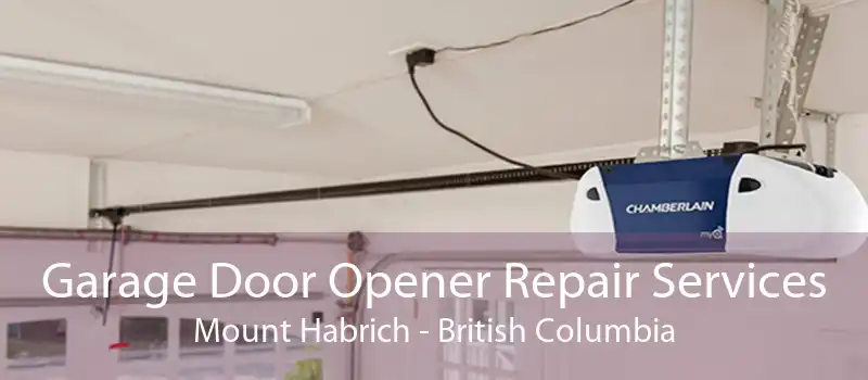 Garage Door Opener Repair Services Mount Habrich - British Columbia