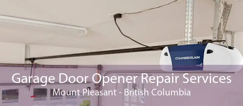 Garage Door Opener Repair Services Mount Pleasant - British Columbia