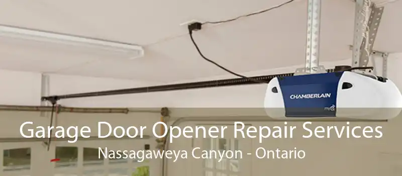 Garage Door Opener Repair Services Nassagaweya Canyon - Ontario