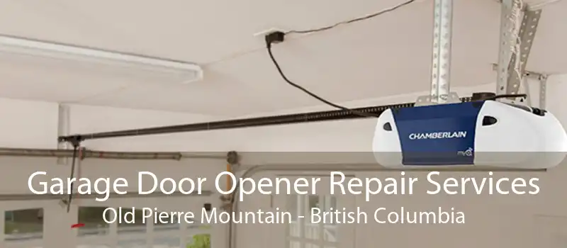 Garage Door Opener Repair Services Old Pierre Mountain - British Columbia