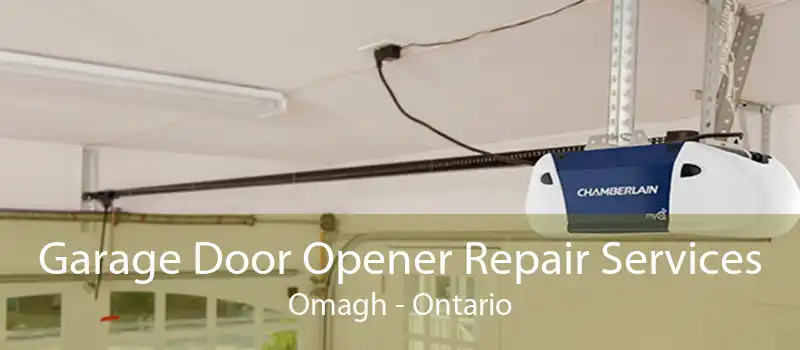Garage Door Opener Repair Services Omagh - Ontario