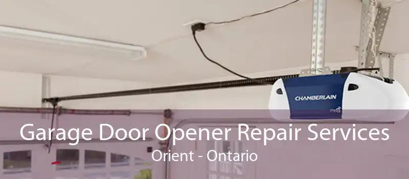 Garage Door Opener Repair Services Orient - Ontario