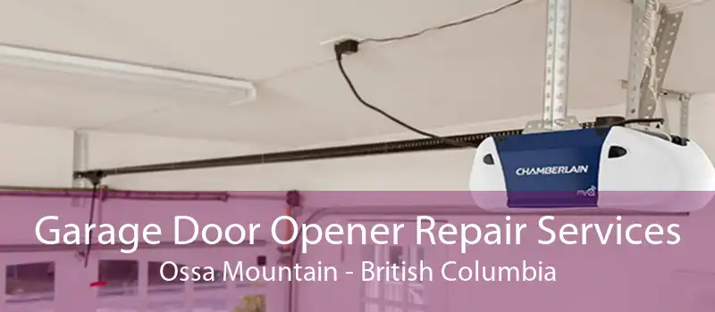 Garage Door Opener Repair Services Ossa Mountain - British Columbia