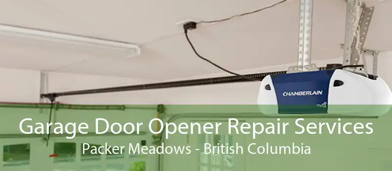 Garage Door Opener Repair Services Packer Meadows - British Columbia