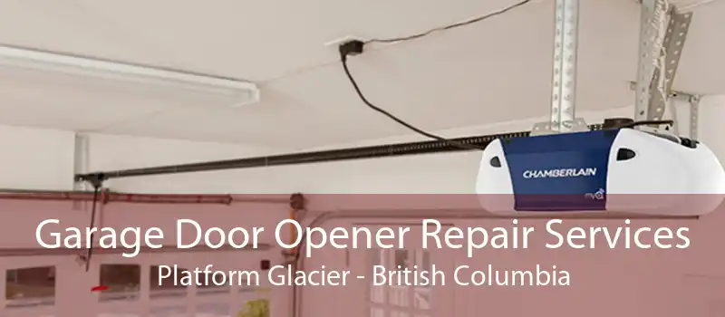 Garage Door Opener Repair Services Platform Glacier - British Columbia