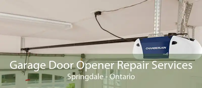 Garage Door Opener Repair Services Springdale - Ontario