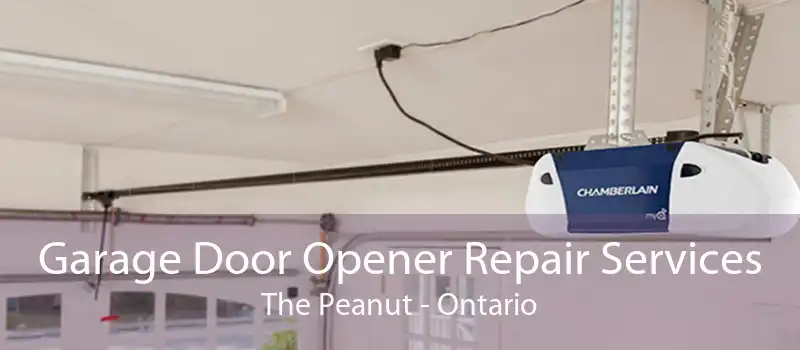 Garage Door Opener Repair Services The Peanut - Ontario