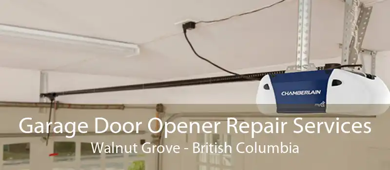 Garage Door Opener Repair Services Walnut Grove - British Columbia
