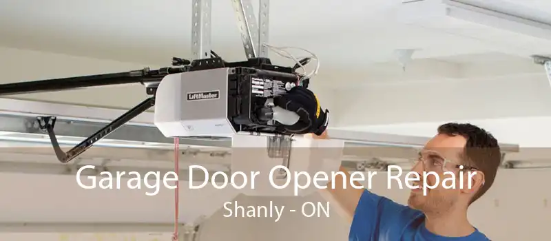 Garage Door Opener Repair Shanly - ON