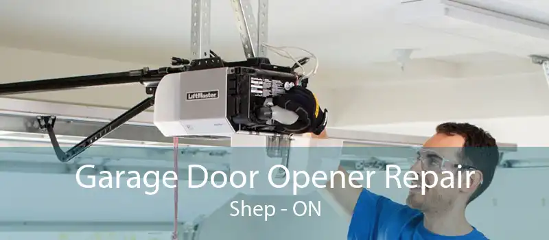 Garage Door Opener Repair Shep - ON