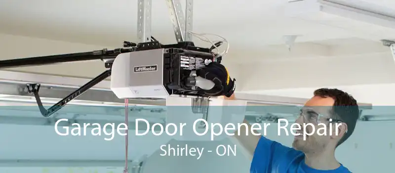 Garage Door Opener Repair Shirley - ON