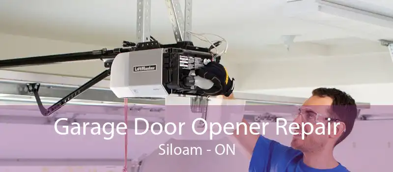 Garage Door Opener Repair Siloam - ON