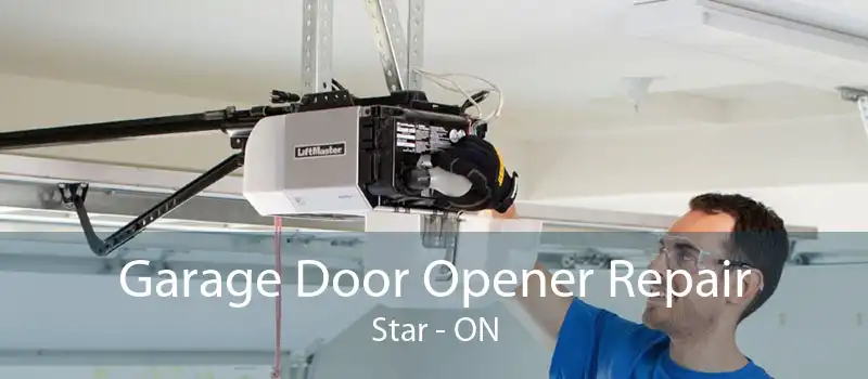 Garage Door Opener Repair Star - ON