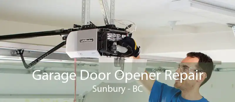 Garage Door Opener Repair Sunbury - BC