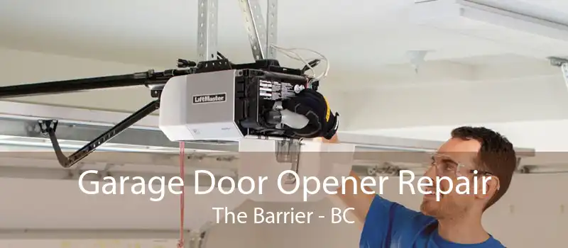 Garage Door Opener Repair The Barrier - BC