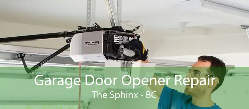 Garage Door Opener Repair The Sphinx - BC