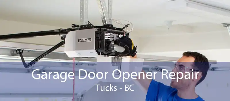 Garage Door Opener Repair Tucks - BC