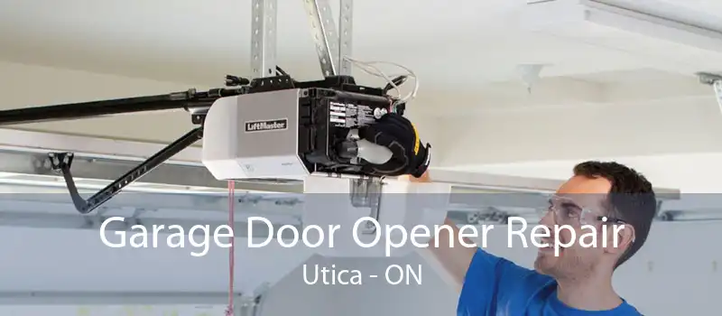 Garage Door Opener Repair Utica - ON