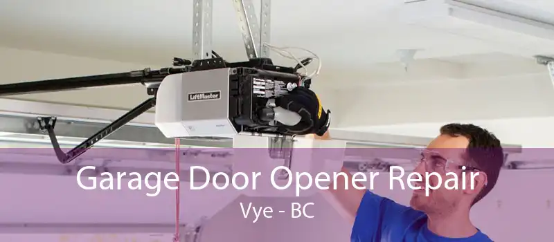 Garage Door Opener Repair Vye - BC
