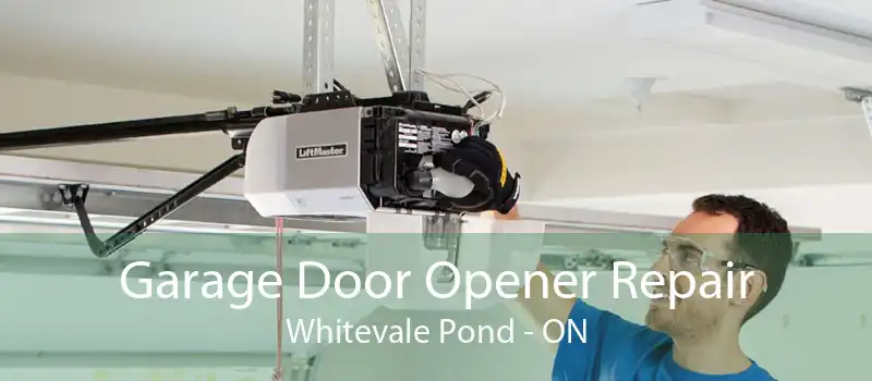 Garage Door Opener Repair Whitevale Pond - ON