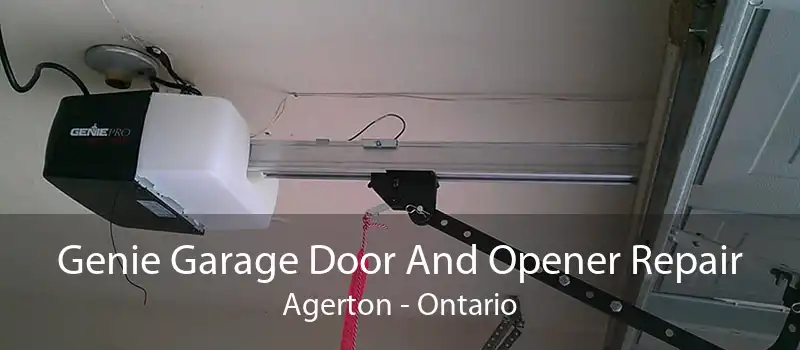 Genie Garage Door And Opener Repair Agerton - Ontario