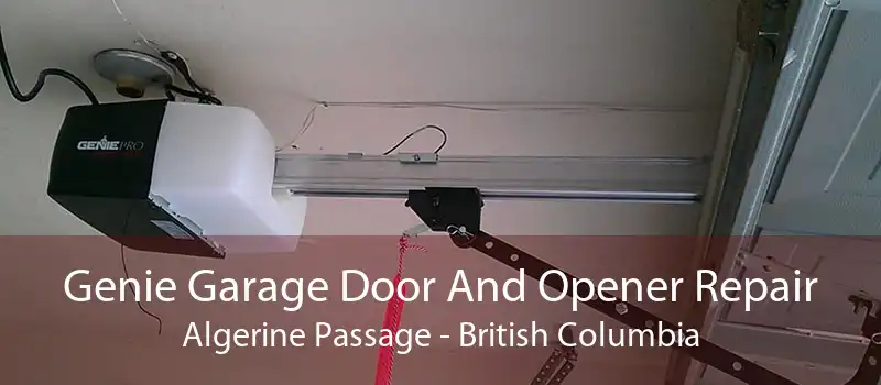 Genie Garage Door And Opener Repair Algerine Passage - British Columbia