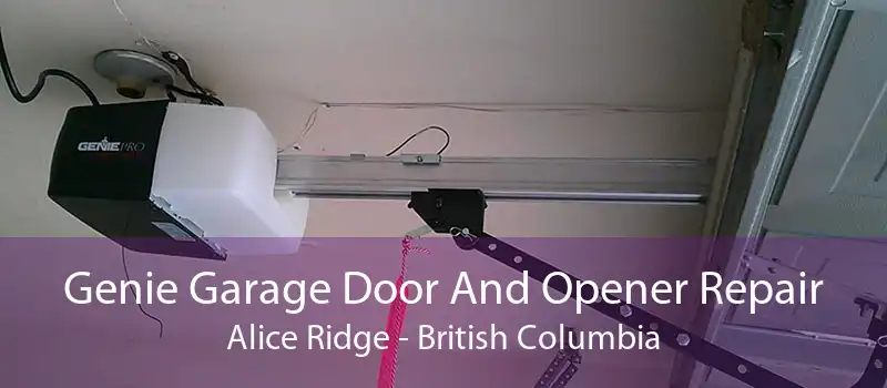 Genie Garage Door And Opener Repair Alice Ridge - British Columbia