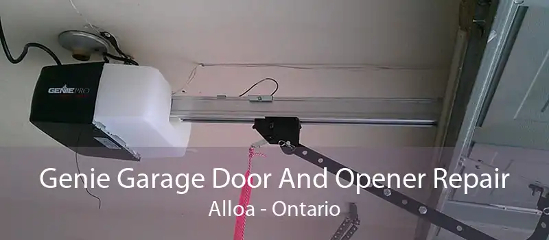 Genie Garage Door And Opener Repair Alloa - Ontario