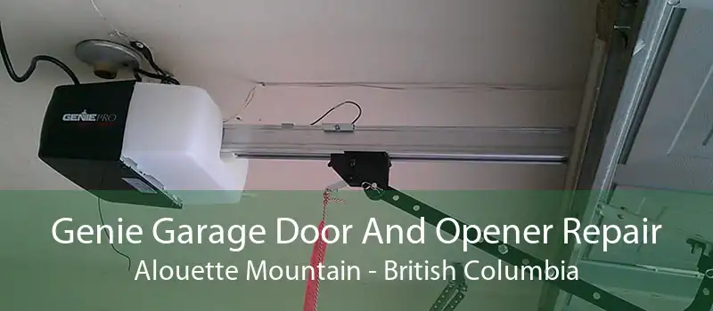 Genie Garage Door And Opener Repair Alouette Mountain - British Columbia