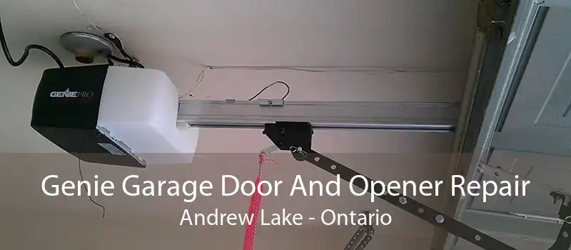 Genie Garage Door And Opener Repair Andrew Lake - Ontario