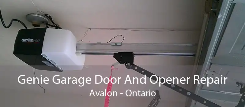 Genie Garage Door And Opener Repair Avalon - Ontario