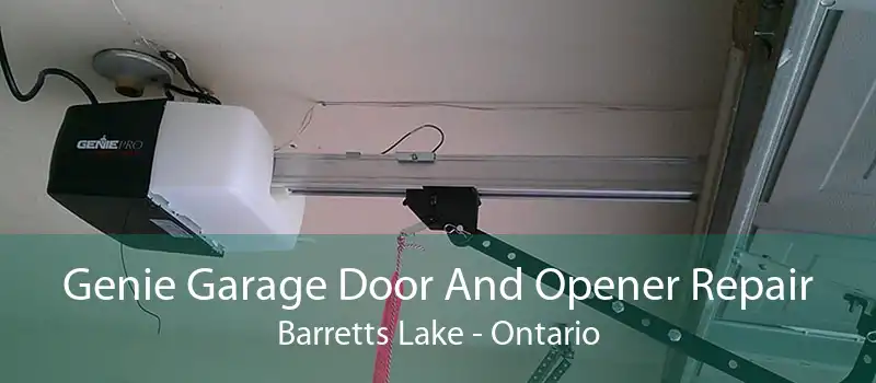 Genie Garage Door And Opener Repair Barretts Lake - Ontario