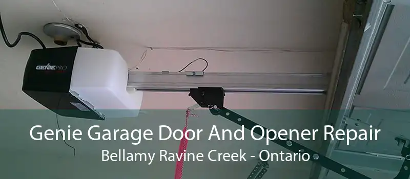 Genie Garage Door And Opener Repair Bellamy Ravine Creek - Ontario