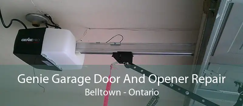 Genie Garage Door And Opener Repair Belltown - Ontario